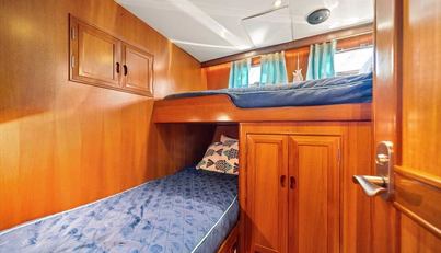 The Cotton Picker For Sale image56