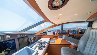 ARION For Sale image30