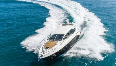 Saw Sea IIII For Sale image13