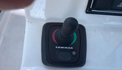 In Pursuit For Sale image32