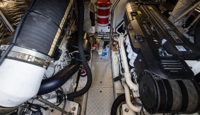 Easy Tiger For Sale image74