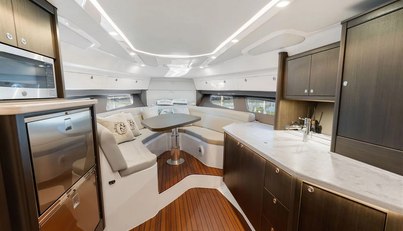 Salty Dog For Sale image23