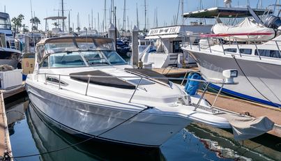 Sea Oddity For Sale image3