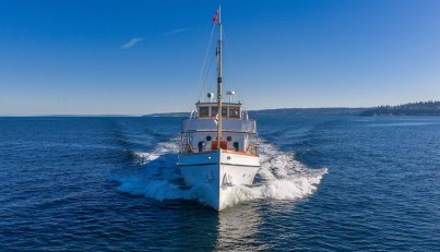 Blue Peter  For Sale image11
