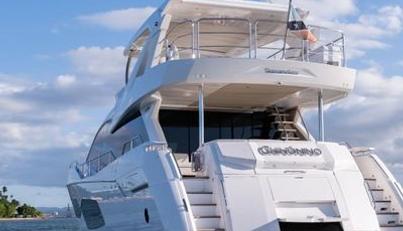 Chinonino For Sale image11