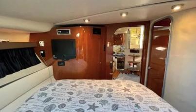 Sophia For Sale image18