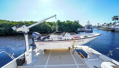 THE GARLIC For Sale image16