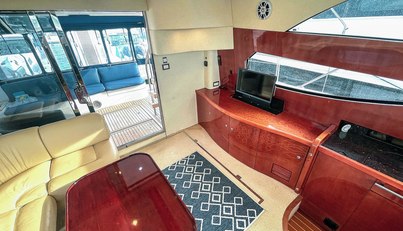 DRAGONFLY For Sale image10