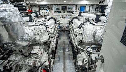 Bella Lisa For Sale image23