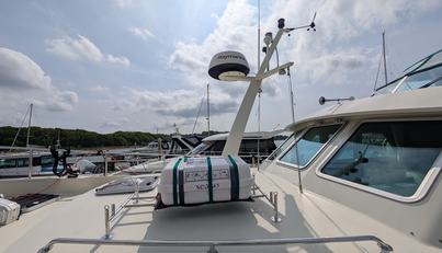 Lady Emily For Sale image3