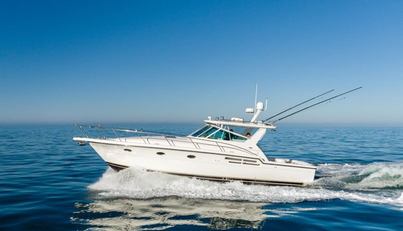 Bluefin For Sale image9