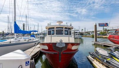 noname For Sale image11