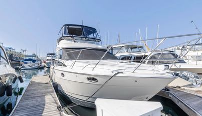 Anchor Management For Sale image13