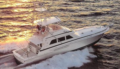 noname For Sale image1