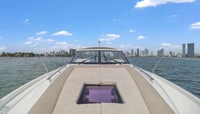 OUR TRADE For Sale image339