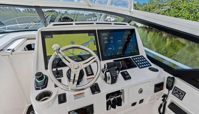 Salty Dog For Sale image20