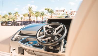 noname For Sale image18