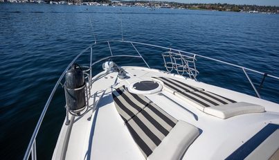 Seacougs For Sale image14