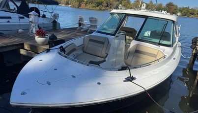 In Pursuit For Sale image1