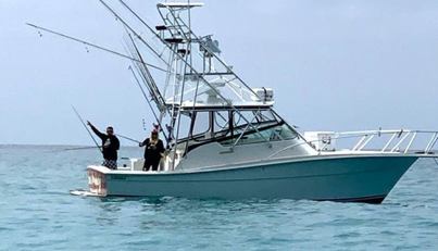 Beer Money For Sale image25