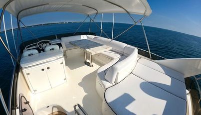 ADIOS For Sale image14