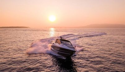 PREDATOR 55 For Sale image4