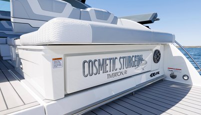 Cosmetic Sturgeon For Sale image14