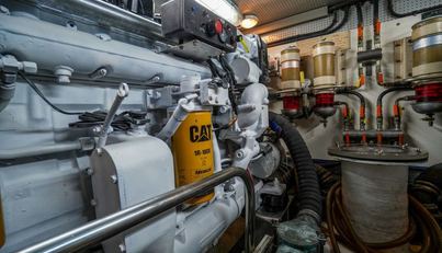 THE GARLIC For Sale image45