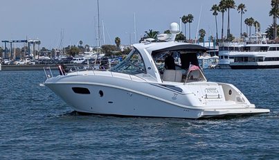 Fansea For Sale image36