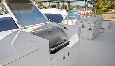 GENESIS For Sale image53