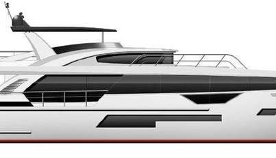 PAPILLON For Sale image33