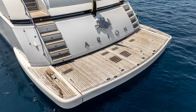 ARION For Sale image5