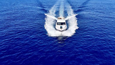 noname For Sale image2