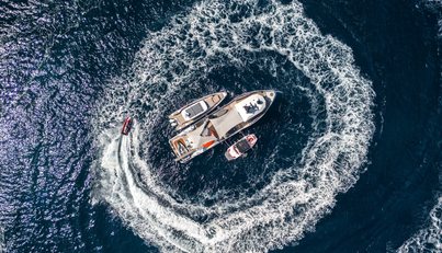 SHADOW For Sale image24