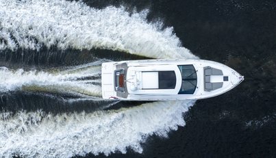 Tropical Dreamer For Sale image14