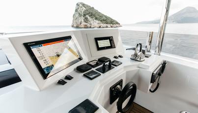 PAPILLON For Sale image23