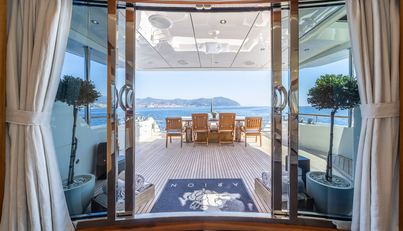 ARION For Sale image8