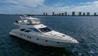 TO LIFE! For Sale image7