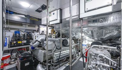 Coal Blooded For Sale image32