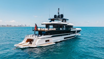 Half Irish For Sale image4