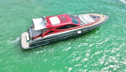 Notorius For Sale image14