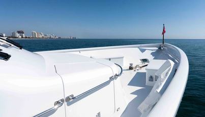 WELL DONE For Sale image26