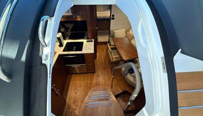 FEATHERS For Sale image20