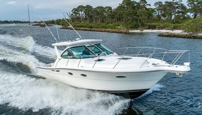 noname For Sale image9