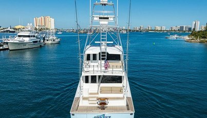 ON ICE For Sale image66