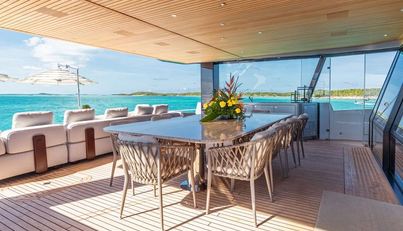 VIVACE For Sale image13