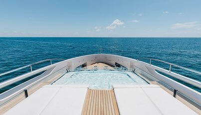 Half Irish For Sale image52