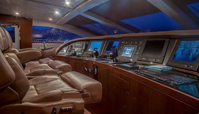 Bagheera For Sale image18