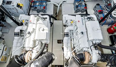 MAKO For Sale image41