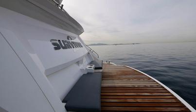 Survivor 2 For Sale image13